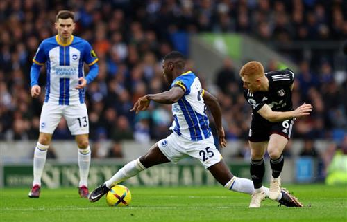 Brighton đấu với Fulham