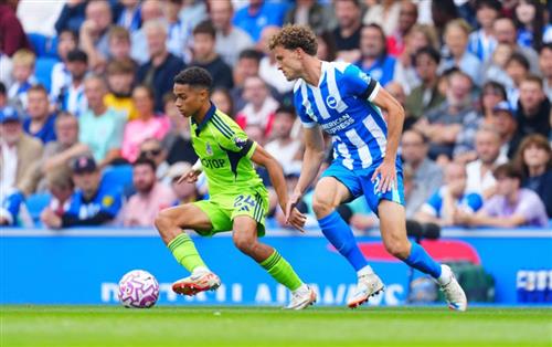 Brighton đấu với Fulham